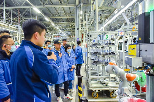 數字化升級引領未來體驗 BMW以客戶為中心的數字內容服務實踐